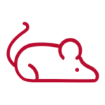 Mouse animal icon in red